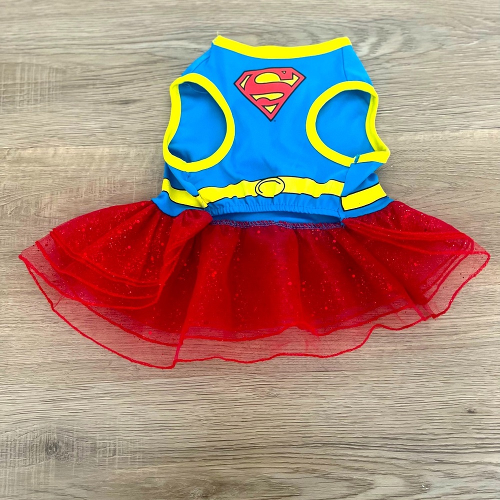 Superman custom for small dog